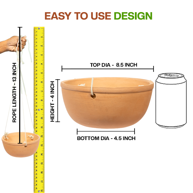 Terracotta Bowl Shape planter pot, shown with a simple and user-friendly design-perfect for succulents, or indoor and outdoor plants.
