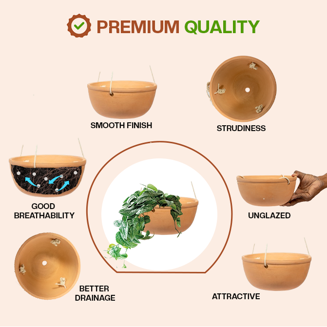 Premium terracotta flower pot with smooth finish, good breathability, better drainage, and sturdy unglazed clay-ideal as an indoor planter or garden pot.
