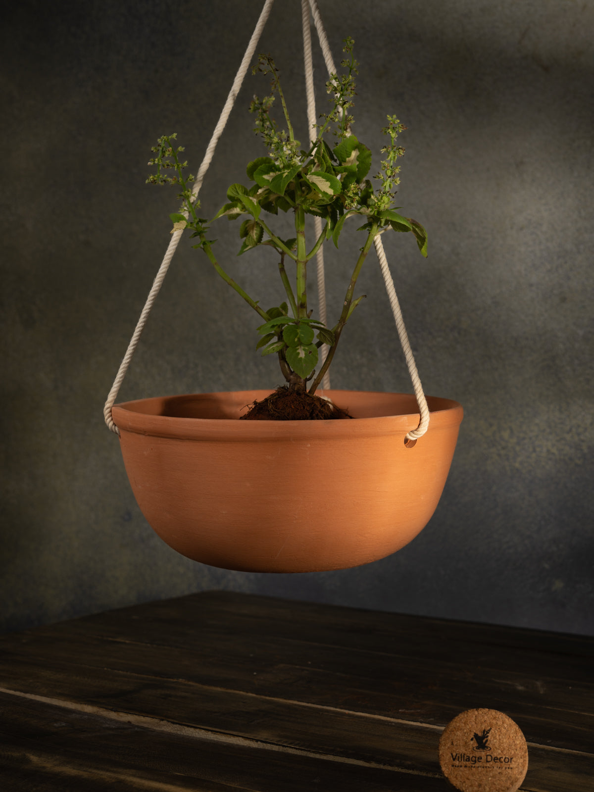 Terracotta Bowl-shaped hanging flower pot with rope for indoor and garden plants.
