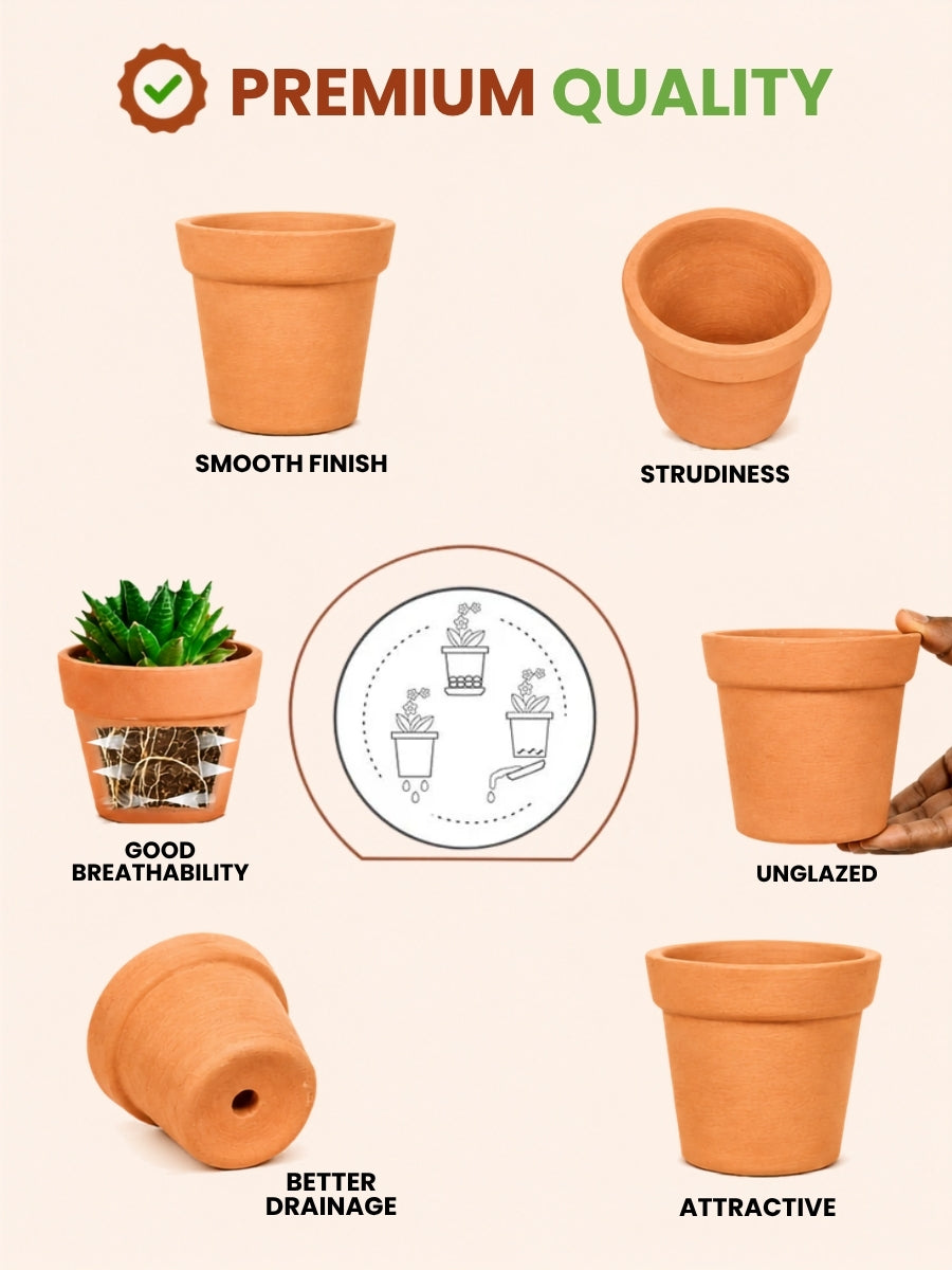 This handcrafted terracotta planter pot offers a natural, unglazed finish with excellent breathability and drainage. Its sturdy build and smooth design make it perfect for both indoor and outdoor gardening.
