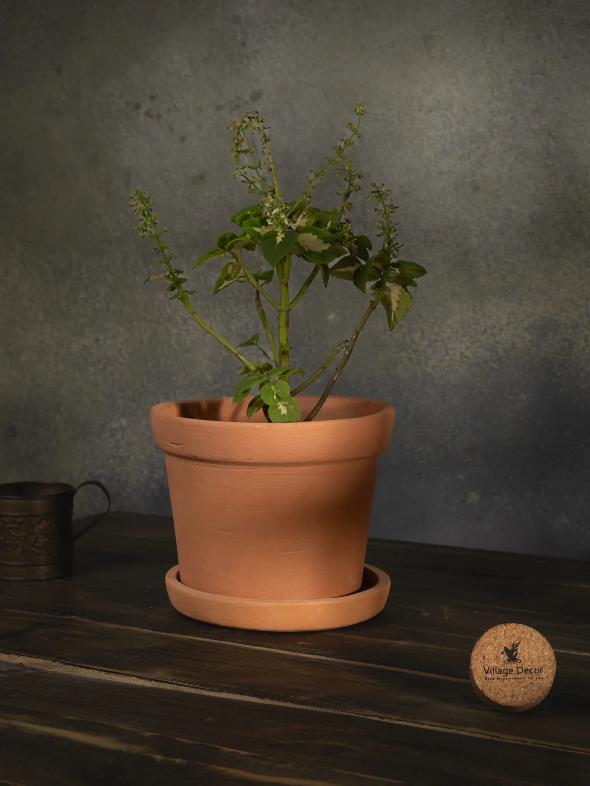 A Terracotta cone-shaped planter Pot, placed indoors with a matching tray. A simple and natural choice for home gardening.
