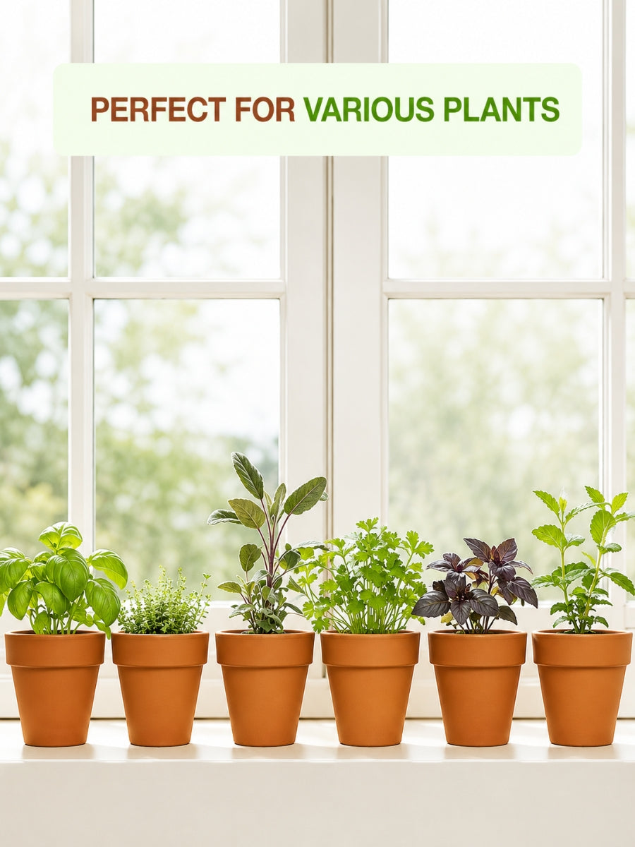 Multiple terracotta flower pots placed on a window sill, each holding different herbs and plants. Ideal as indoor planters or garden pots clay.
