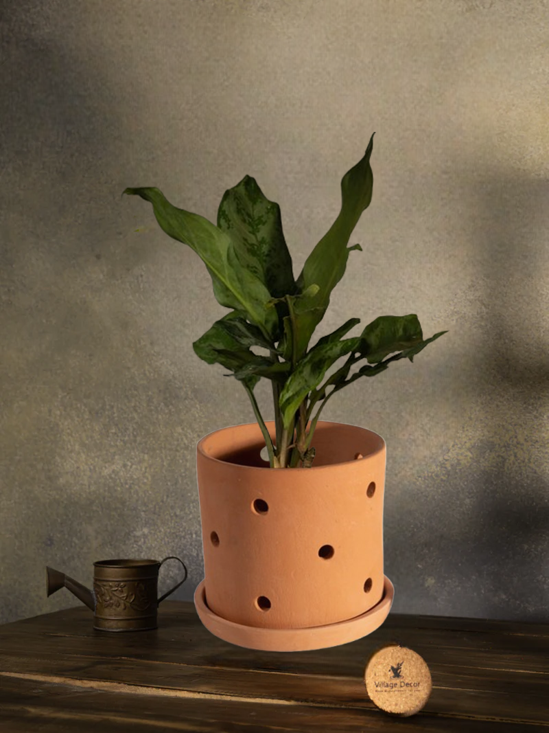 Terracotta indoor flower pot with multiple drainage holes, ideal for garden plants or as a decorative clay planter for home and office spaces.
