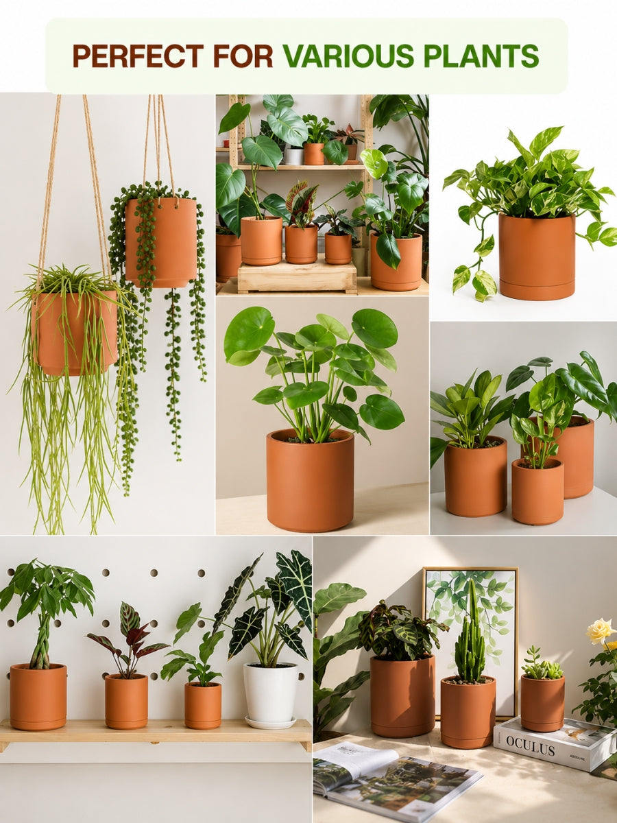 Comparison Between Village Decor Terracotta Planter Pots And Plastic Planter, Highlighting Benefits Like Air Circulation, Drainage, And Clay Material Over Plastic Drawbacks.
