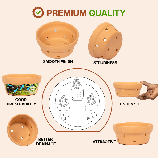 Premium terracotta flower pot with smooth finish, good breathability, better drainage, and sturdy unglazed clay-ideal as an indoor planter or garden pot for orchids.
