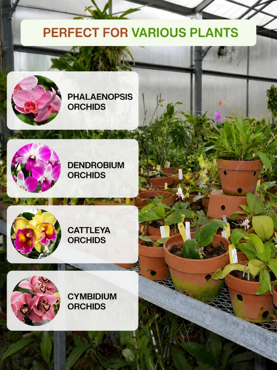 Terracotta garden pots with drainage, ideal for indoor planting of orchid varieties like Phalaenopsis, Dendrobium, Cattleya, and Cymbidium-perfect breathable clay planters.
