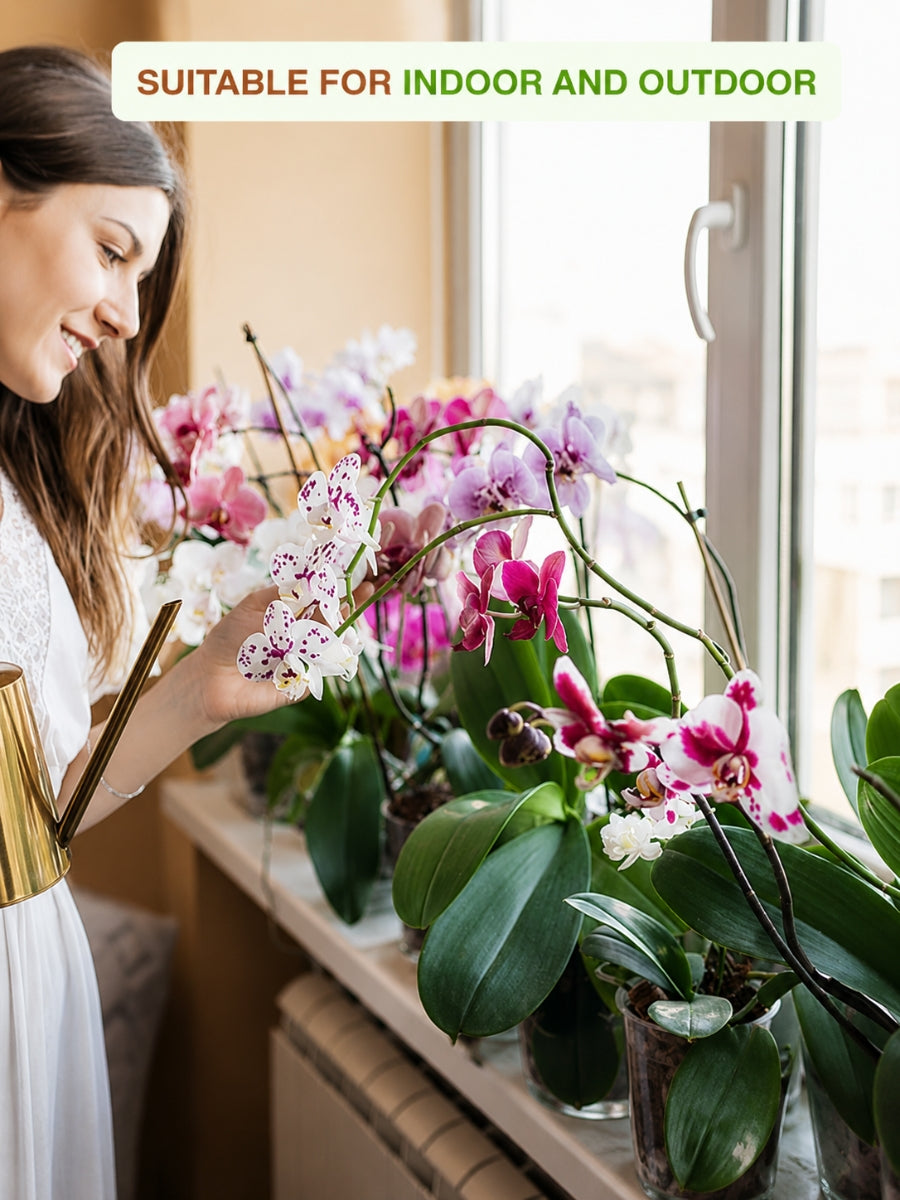 Woman caring for orchids in terracotta flower pots placed on a bright indoor windowsill, perfect for indoor and outdoor gardening with clay planters.
