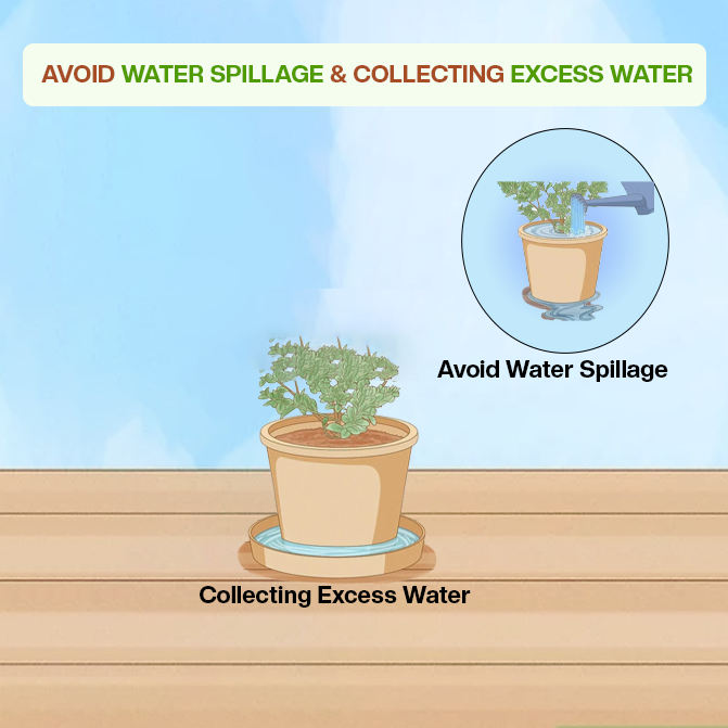 Visual showing a plant pot placed on a tray to catch extra water and avoid spills, ideal for keeping surfaces clean and maintaining healthy indoor plants

