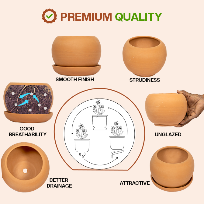 Terracotta Shape planter highlighting product features like smooth finish, sturdiness, good breathability, better drainage, unglazed design, and attractive look.
