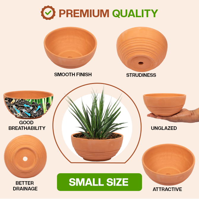 Terracotta Shape planter highlighting product features like smooth finish, sturdiness, good breathability, better drainage, unglazed design, and attractive look.
