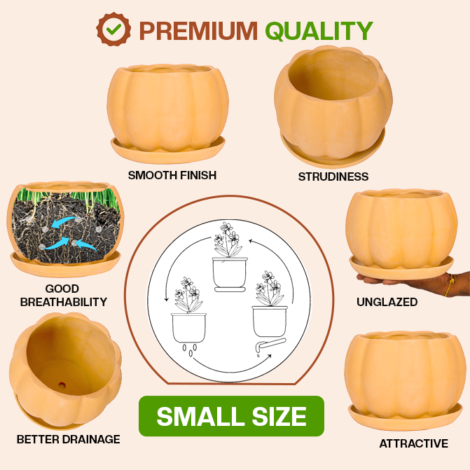 Terracotta Shape planter highlighting product features like smooth finish, sturdiness, good breathability, better drainage, unglazed design, and attractive look.
