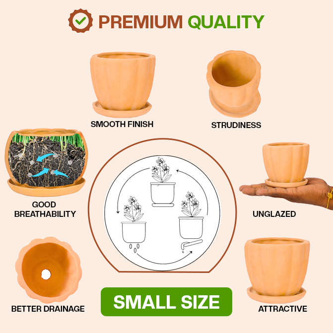 Terracotta Shape planter highlighting product features like smooth finish, sturdiness, good breathability, better drainage, unglazed design, and attractive look.
