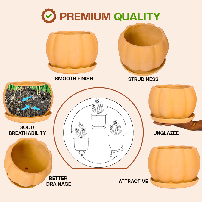 Terracotta Shape planter highlighting product features like smooth finish, sturdiness, good breathability, better drainage, unglazed design, and attractive look.
