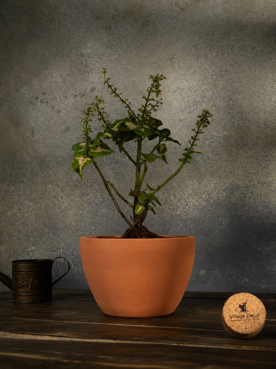 Terracotta Flower Planter pot, great for adding earthy tones to indoor and garden spaces.