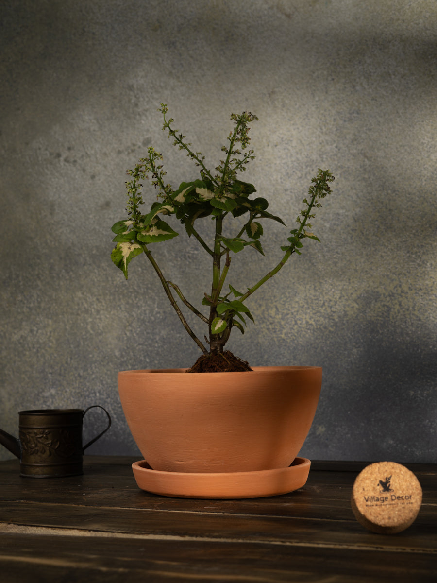 Terracotta Flower Planter pot, great for adding earthy tones to indoor and garden spaces.