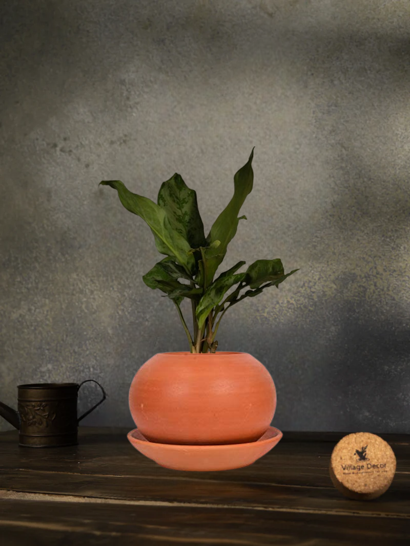 Terracotta Flower Planter pot, great for adding earthy tones to indoor and garden spaces.