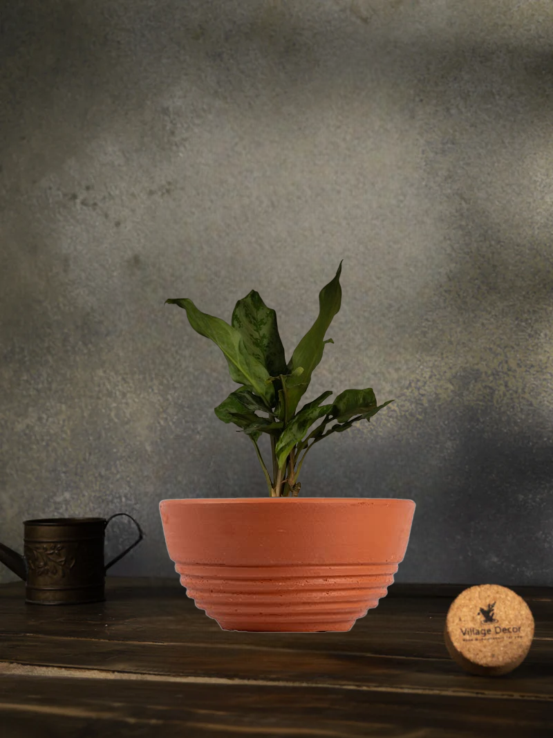 Terracotta Flower Planter pot, great for adding earthy tones to indoor and garden spaces.