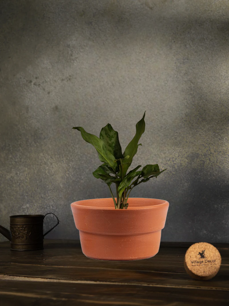Terracotta Flower Planter pot, great for adding earthy tones to indoor and garden spaces.