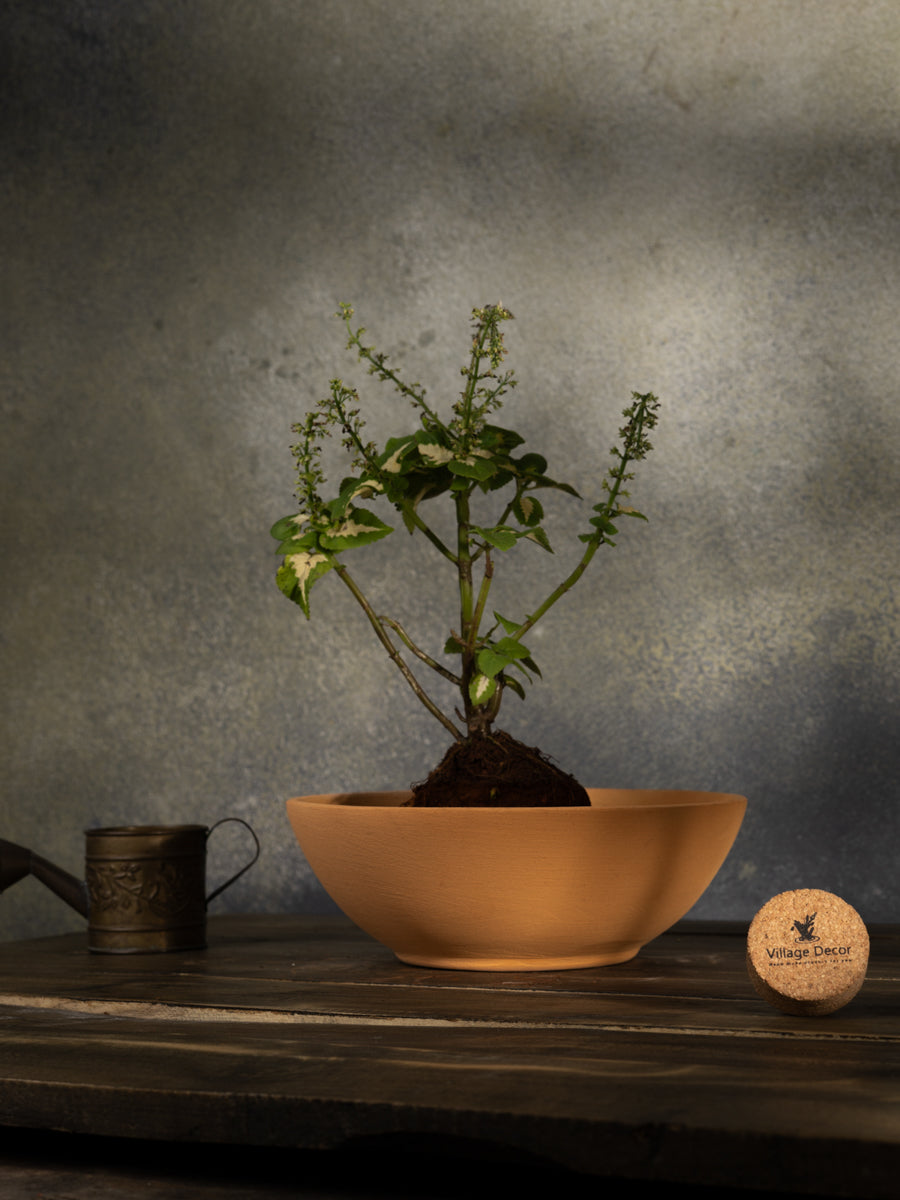 Terracotta Flower Planter pot, great for adding earthy tones to indoor and garden spaces.