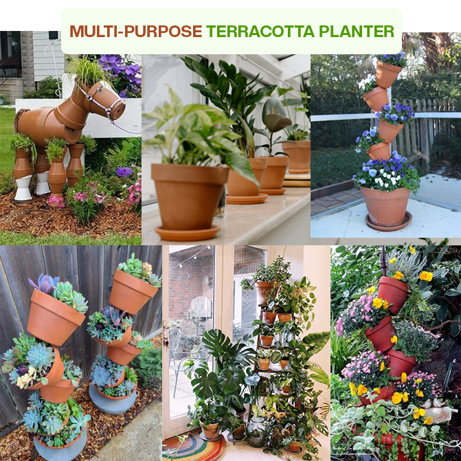 Multi-purpose terracotta indoor planter ideal for flowering plants, herbs, and balcony garden setups.
