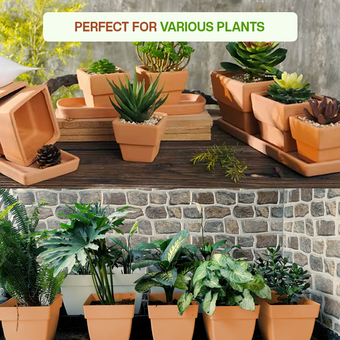 Terracotta clay garden pots filled with succulents, herbs, and leafy indoor plants, ideal for home, balcony, or table decor.
