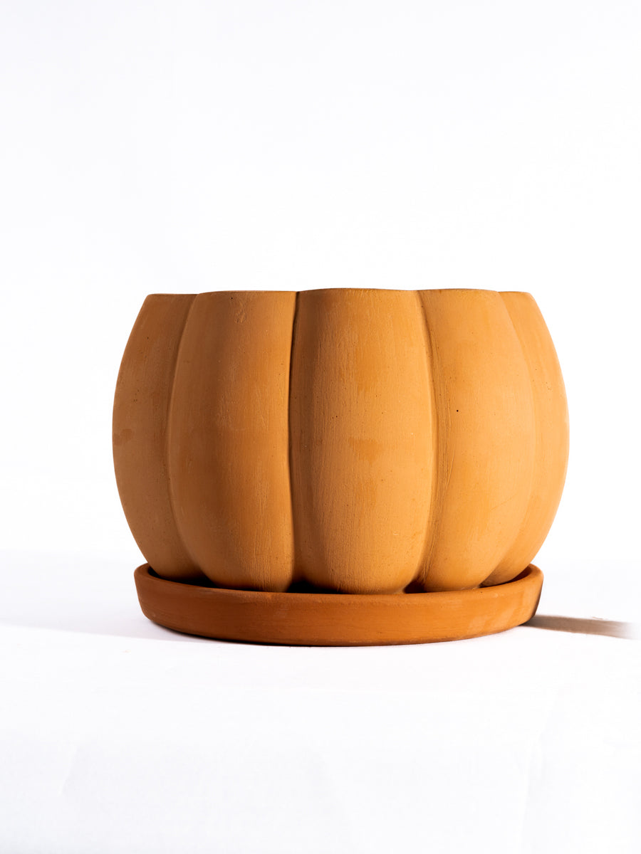 Terracotta Planter pot white background view—perfect flower pot for indoor and garden spaces with a natural terracotta finish.
