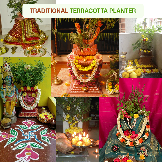 Traditional terracotta Tulsi planters decorated for pooja, festivals, and home altars, showcasing sacred and cultural uses in Indian homes.
