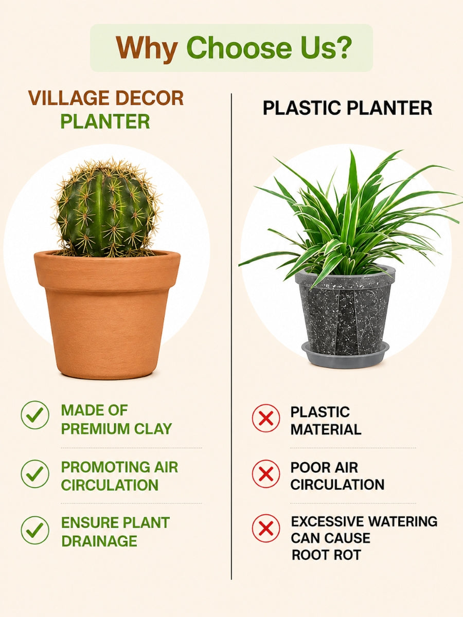 Comparison Between Village Decor Terracotta Planter Pots And Plastic Planter, Highlighting Benefits Like Air Circulation, Drainage, And Clay Material Over Plastic Drawbacks.

