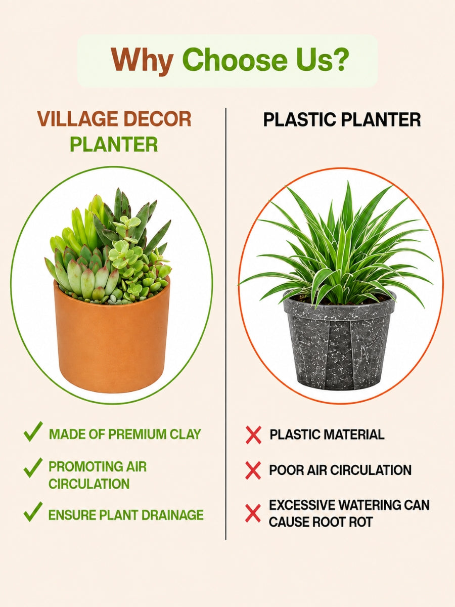 Comparison Between Village Decor Terracotta Planter Pots And Plastic Planter, Highlighting Benefits Like Air Circulation, Drainage, And Clay Material Over Plastic Drawbacks.
