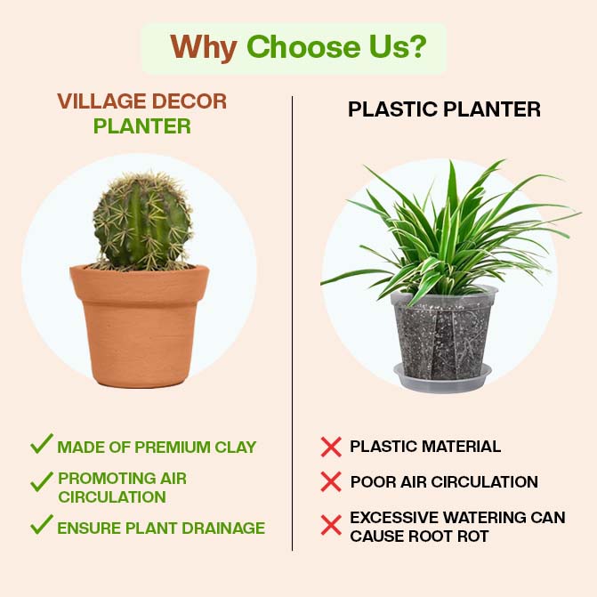 Comparison Between Village Decor Terracotta Planter Pots And Plastic Planter, Highlighting Benefits Like Air Circulation, Drainage, And Clay Material Over Plastic Drawbacks.
