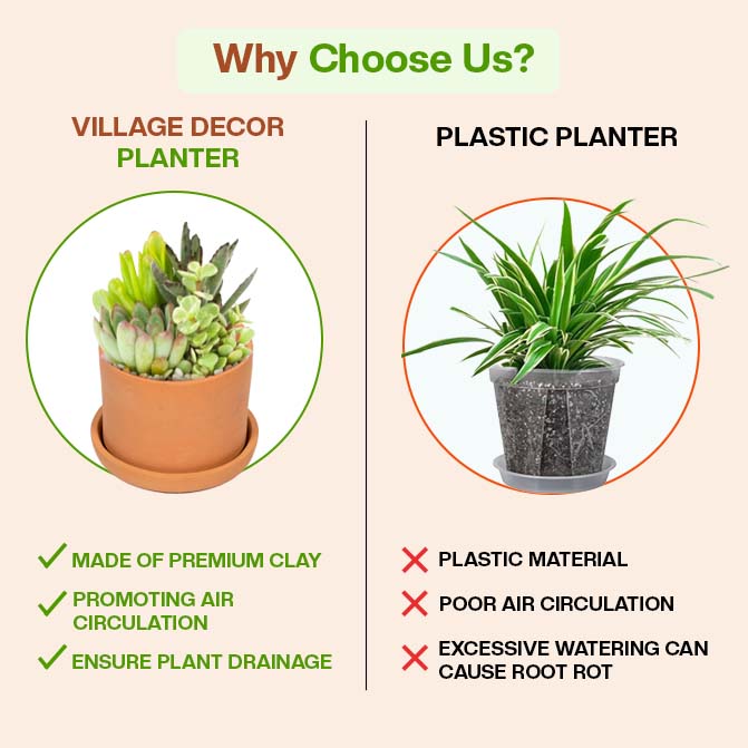 Comparison Between Village Decor Terracotta Planter Pots And Plastic Planter, Highlighting Benefits Like Air Circulation, Drainage, And Clay Material Over Plastic Drawbacks.
