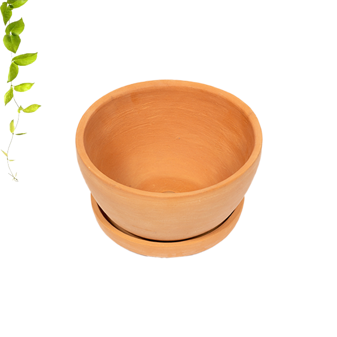 Terracotta Small Pot with Bottom Tray  Pack of 1