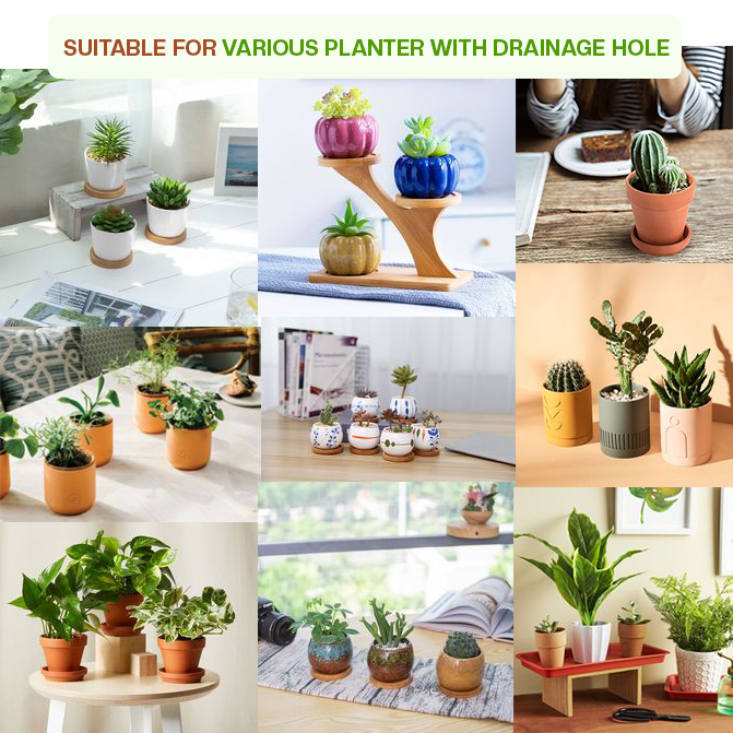 Terracotta Planter Bottom Tray Dia-6 inch