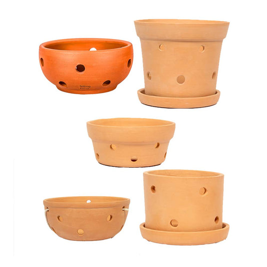 Terracotta Orchid Delight Set of 5 - Bowl, Hanging, Cone, Cylinder, Container Shaped Pots