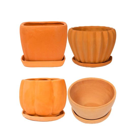 Terracotta Versatile Garden Set of 4 - Square, Pumpkin, Bowl, Gear Shaped Planters