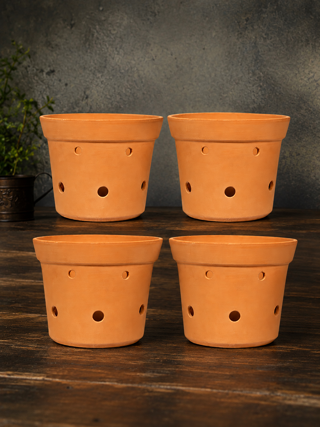 Terracotta Orchid Pot 6 inch without tray
