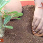 Village Decor Terracotta Self Watering Water Dripper Automatically Water Your Plants