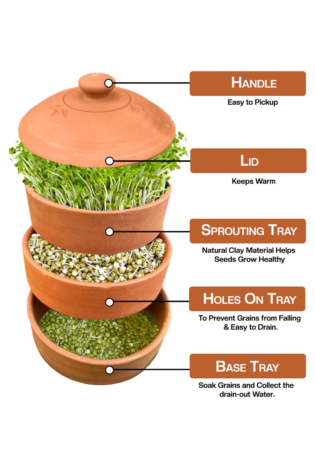 Terracotta Sprout Maker Box (3 container with lid)