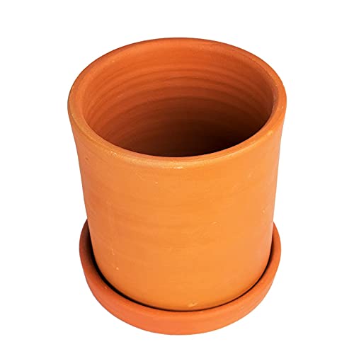 Terracotta Plant Container with Bottom Tray 6 inch