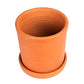 Terracotta Plant Container with Bottom Tray, 4.5 Inch, Pack of 1