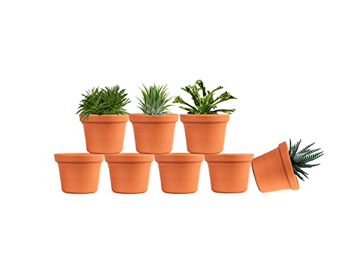 Terracotta Plant Container 3 inch