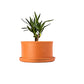 Terracotta Plant Container with Bottom Tray  8.5 inch