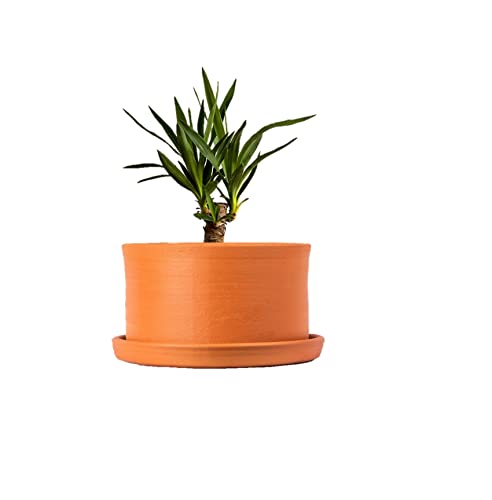 Terracotta Plant Container with Bottom Tray  8.5 inch