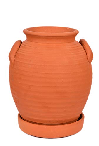 Terracotta Jar Model Planter with Bottom Tray   7.5 inch