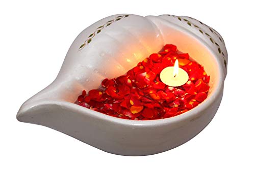 Terracotta Decorative Sangu Urli Bowl - Pearl White