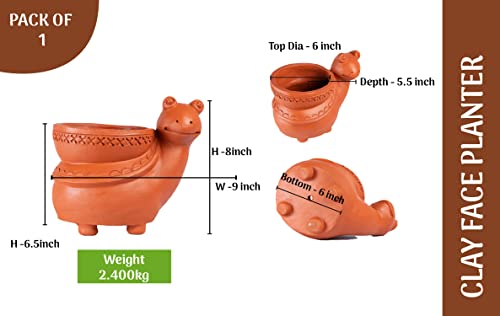 Terracotta  Snail Shape Planter Indoor / Outdoor