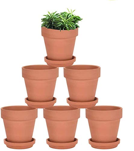 Terracotta Plant Container with Bottom Tray (Brown, 3 x 3 inch) (3 inch 6 Qty)