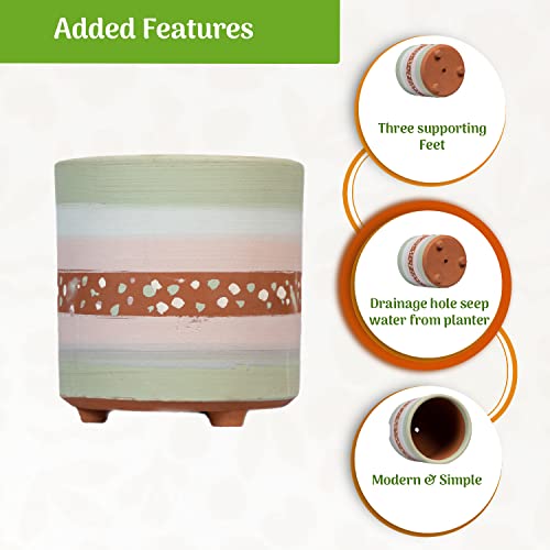 Terracotta Painted Plant Container with Bottom Tray