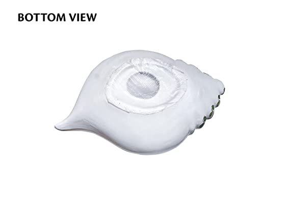 Terracotta Decorative Sangu urili with Stand - Pearl White