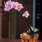 Terracotta Orchid Pot 6 inch 1 Qty